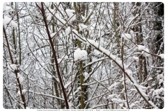 BAR-SUR-SEINE-004neige_en_janvier_2019