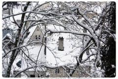 BAR-SUR-SEINE-016neige_en_janvier_2019