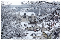 BAR-SUR-SEINE-018neige_en_janvier_2019