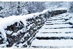 BAR-SUR-SEINE-103neige_en_janvier_2019