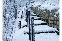 BAR-SUR-SEINE-121neige_en_janvier_2019