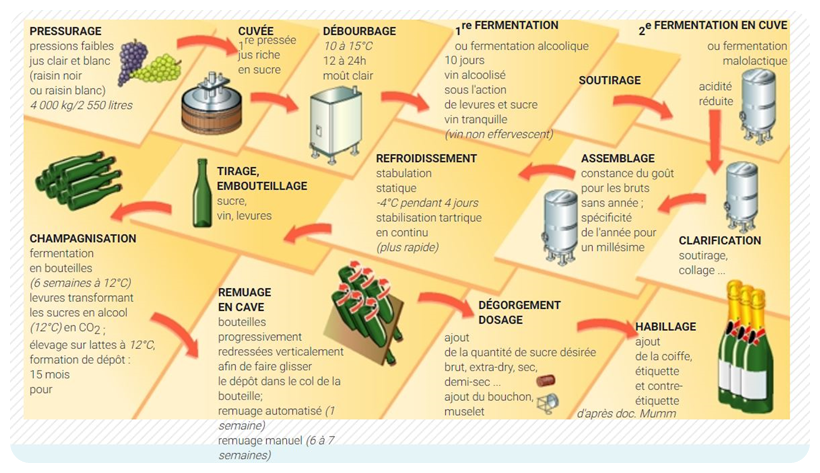 Tout Savoir Sur Le Champagne Le Bars quanais